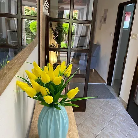 Apartment Dora Zadar