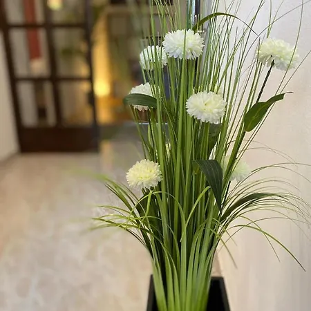 Dora Appartement Zadar