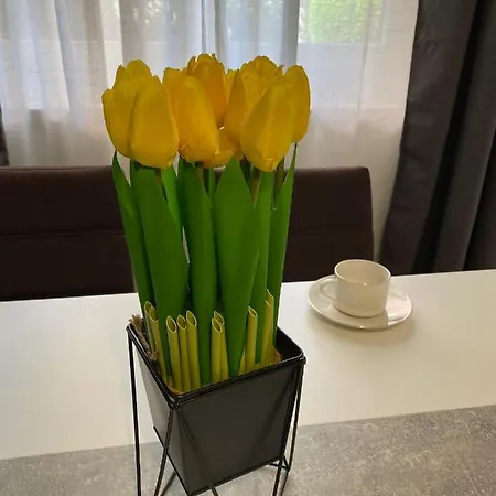 Dora Appartement